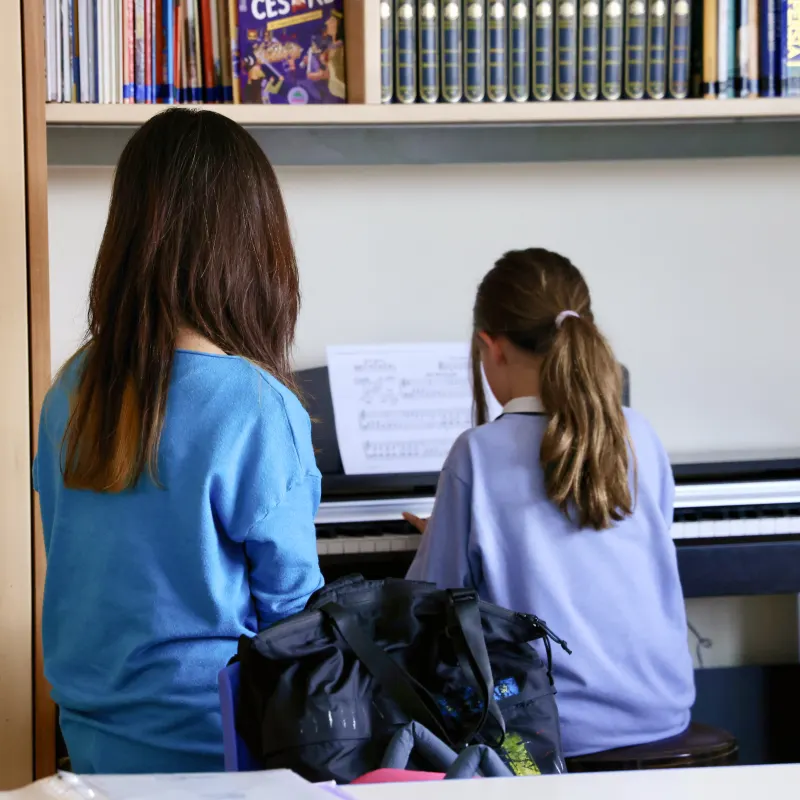 Immagine di Lezioni di pianoforte o chitarra