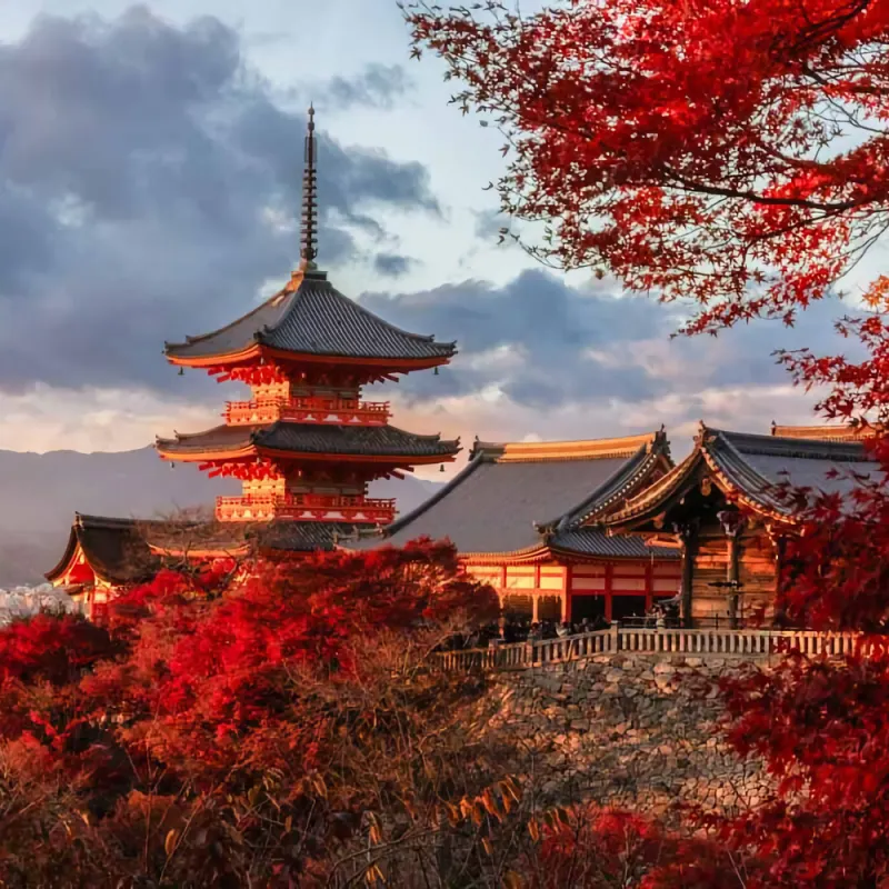 Immagine di Japanese Afternoon Class